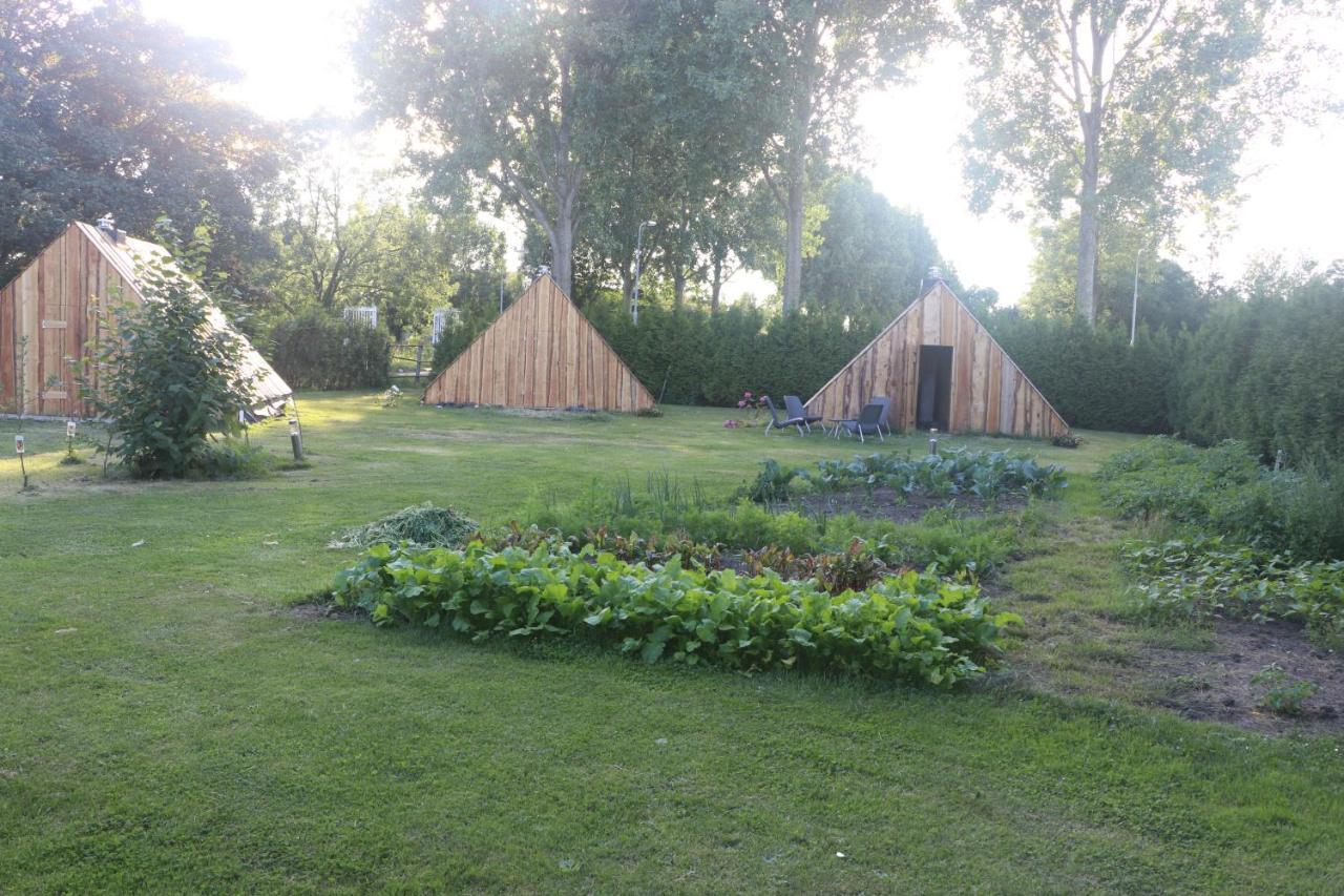 The Iceviking Village Zwaanshoek Eksteriør billede